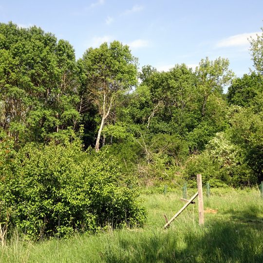 An der Ziegelhütte von Groß-Zimmern