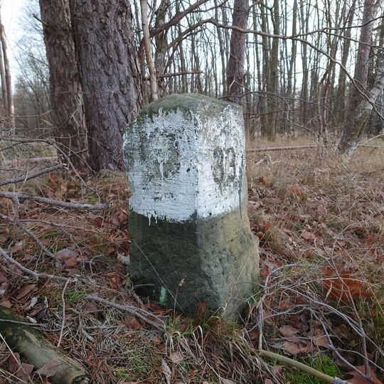 Forest boundary stone