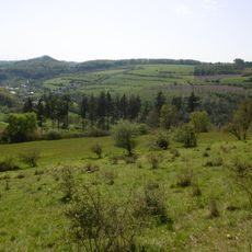 LSG-Freiflaechen suedwestlich Beringhausen <Typ B>
