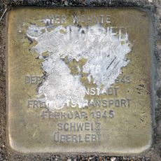 Stolperstein für Dr. Siegfried Peltesohn