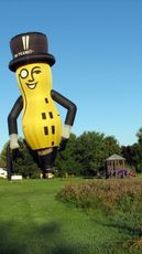 Mr. Peanut