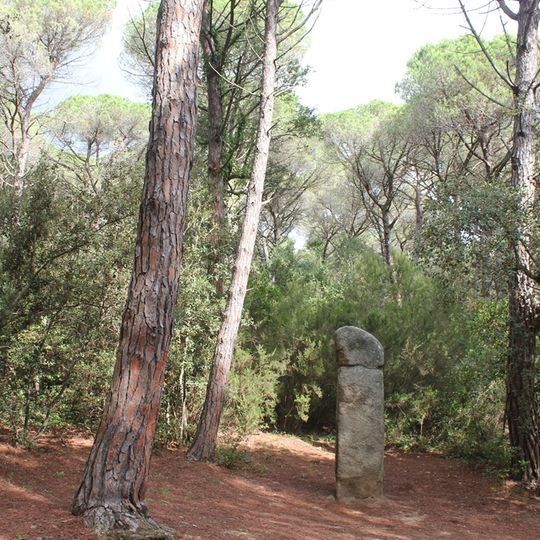 Menhir de la Murtra