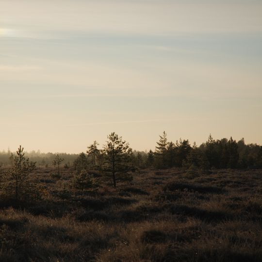 Mūšos Tyrelis Telmological Reserve