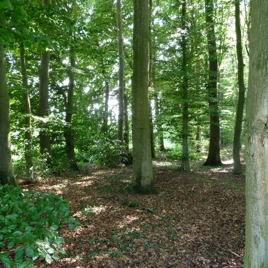 Wiehengebirge und Nördliches Osnabrücker Hügelland