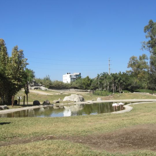 Guadalajara Zoo