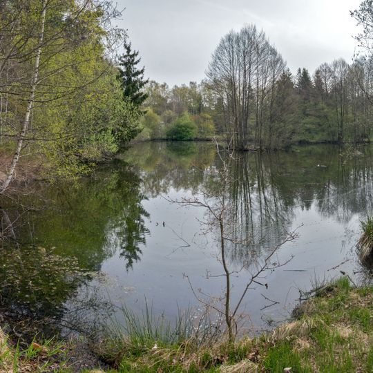 Schwarzenbrucker Moor