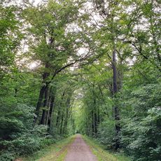 Threnaer Allee, Naunhof