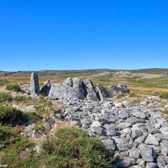 Mamoa da Portela de Anta