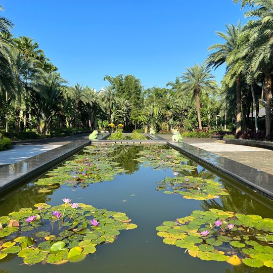 Dapingding Tropical Botanical Garden