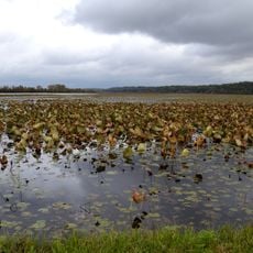 Spring Lake State Fish and Wildlife Area