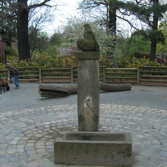 Vogelbrunnen im Zoo Dresden