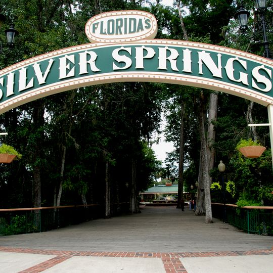 Silver Springs