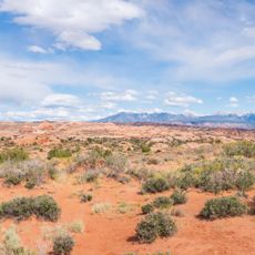 Petrified Dunes Viewpoint