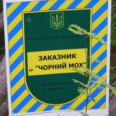 Chornyi Mokh