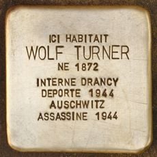Wolf Turner
