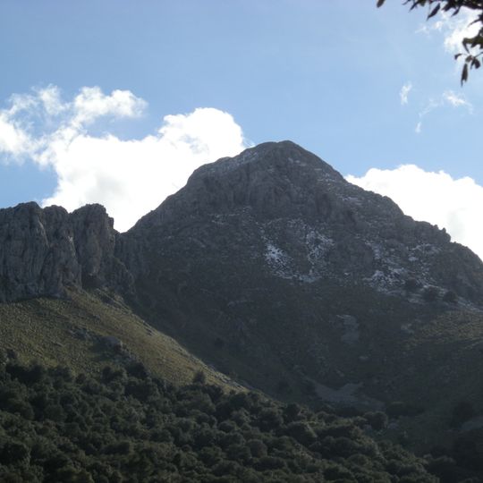 Puig de les Vinyes