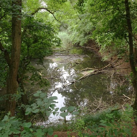 Entenpfuhl bei Weiterstadt