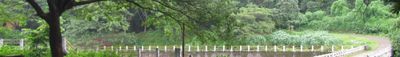Panoramic View 0