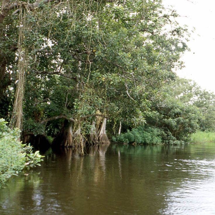Los Guatuzos Natural Reserve