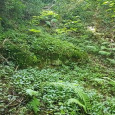 Groeve Pruus Karel I