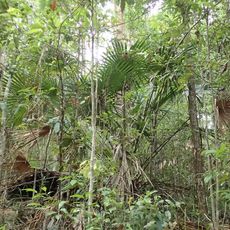 Eudlo Creek National Park