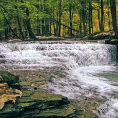 Salt Springs State Park