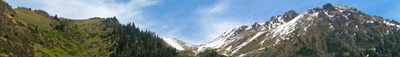 Panoramic View 0
