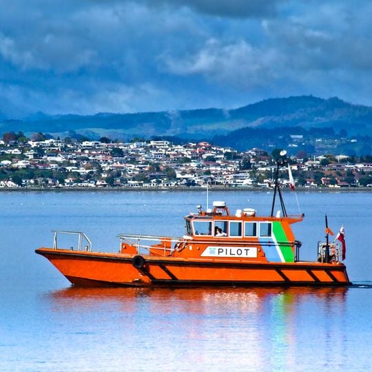 Port of Tauranga