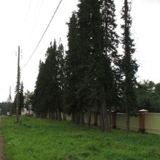 Ограда аптекарского сада с калитками и воротами (Сортавальское г.п.)