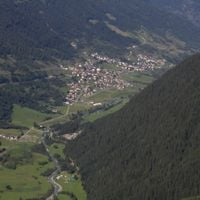 Vermiglio