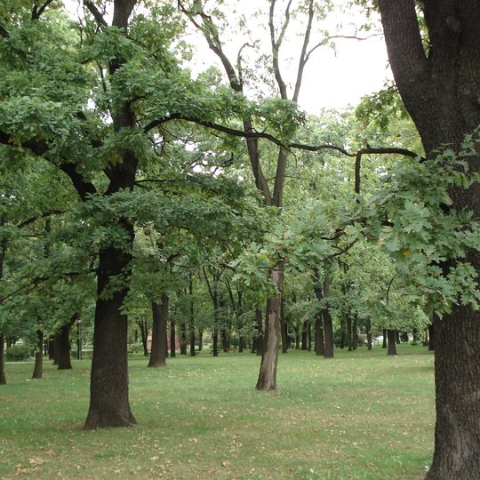 Park Manitiusa w Poznaniu