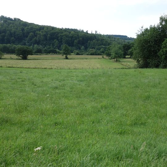Ruhrauenabschnitte zwischen Henne und Wenne