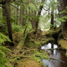 Gwaii Haanas National Park Reserve and Haida Heritage Site