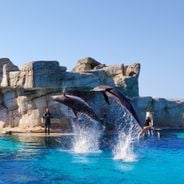 Por que a Emilia-Romagna fascina os viajantes: castelos, mosaicos e gastronomia