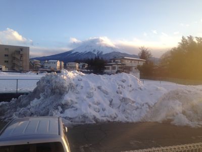 The view 2