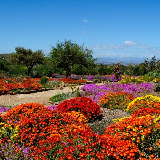 Karoo Desert National Botanical Garden