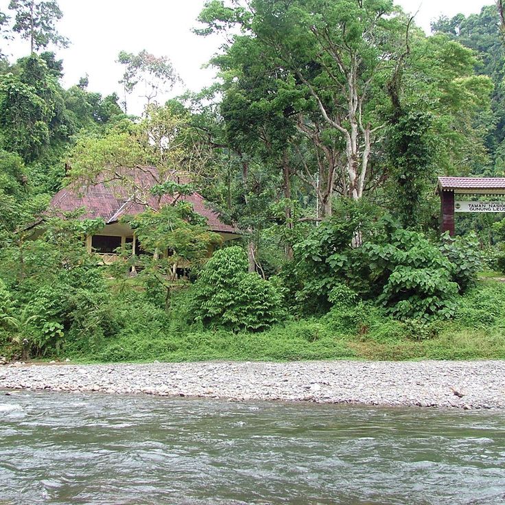 Parque Nacional Gunung Leuser