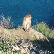 Parque nacional de Taza