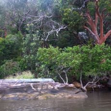 Popran National Park