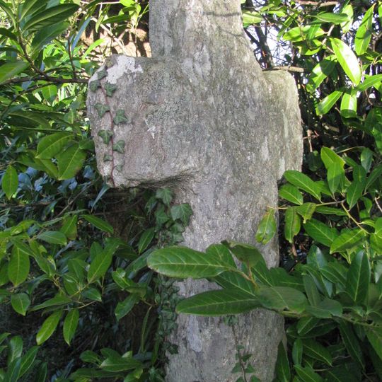 Croix de chemin en schiste de Kerduellic