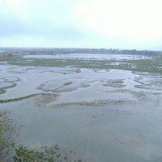 Marais de l'Ampurdàn