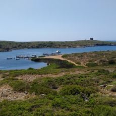 Sanisera