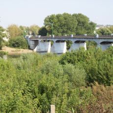 Мост через р. Дон, построенный инженером Грингофом (Казенный мост) (Лебедянь)