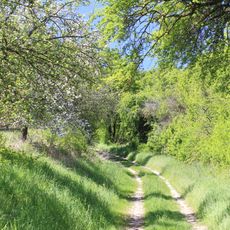 Hohlweg Edelfingen Höheberg/Mergenthaler