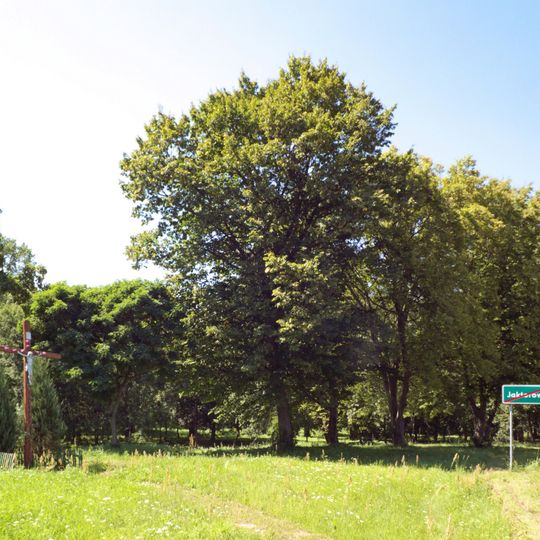 Park dworski w Jaktorowie