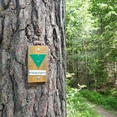 Skogsstigen i Rösjöskogens naturreservat