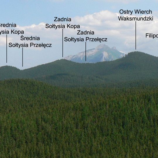 Suchy Wierch Waksmundzki