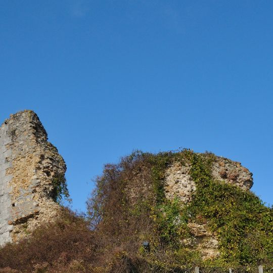 Donjon de la Motte