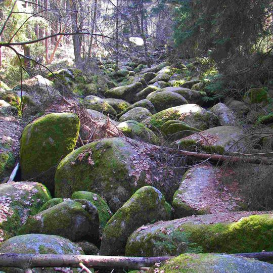 Girnitz-Bachlauf im NSG Doost SE von Gollwitzerhof