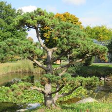Blumenpark Dehner (Rain am Lech)